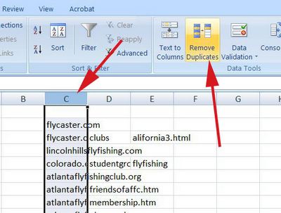 remove duplicates from top level domain column