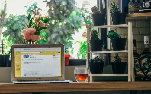 Silver laptop on a desk with plants | Customer Service Is A Powerful Therapy Growth Strategy | Brighter Vision Web Solutions | Therapist Websites & Marketing for Therapists | Marketing Blog for Therapists