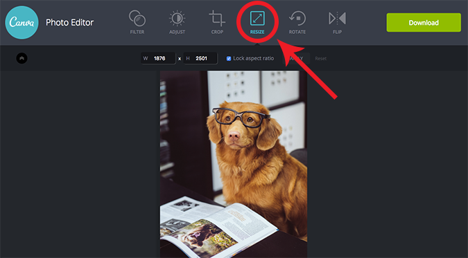 Canva photo editor resize | Bright Bite: How to Edit Photos Online for Your Website | Brighter Vision | Therapist Websites & Marketing Solutions