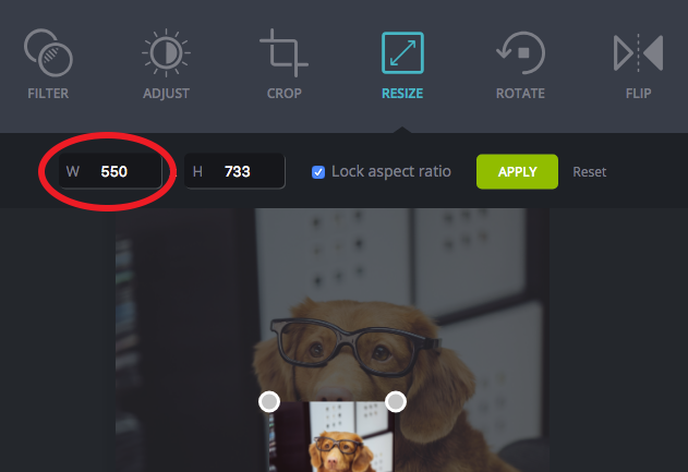 Canva photo editor resize dimensions | Bright Bite: How to Edit Photos Online for Your Website | Brighter Vision | Therapist Websites & Marketing Solutions