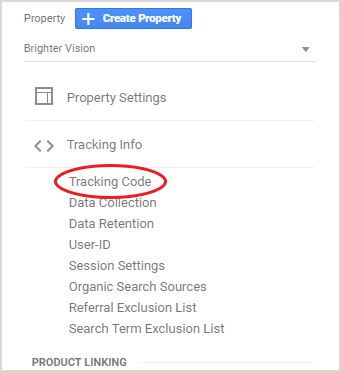 Google Analytics Tracking Code | How to Create a Google Analytics Account for Your Website | Brighter Vision Web Solutions | Marketing Blog for Therapists