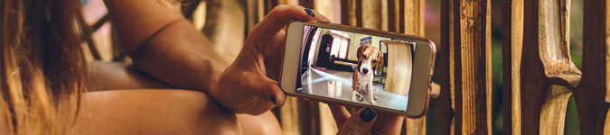 Dog on iPhone screen | Why All Therapists Should Use Videos for Their Social Media Marketing | Brighter Vision Web Solutions | Therapist Websites & Marketing for Therapists | Marketing Blog for Therapists