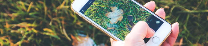 Mobile photo of leaf in grass | The Best Practices for Therapist Marketing on Instagram in 2019 | Brighter Vision Marketing Blog for Therapists | Therapist Websites & Marketing for Therapists