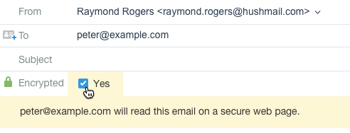 Hushmail email encryption checkbox | Do You Need HIPAA-Compliant Email & Forms for your Therapist Website? | Brighter Vision | Custom Websites & Marketing Solutions for Therapists