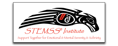 STEMSS Institute Logo | Brighter Spotlight with Mike Bricker | Brighter Vision | Marketing Blog for Therapists