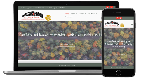 STEMSS Institute responsive website | Brighter Spotlight with Mike Bricker | Brighter Vision | Marketing Blog for Therapists