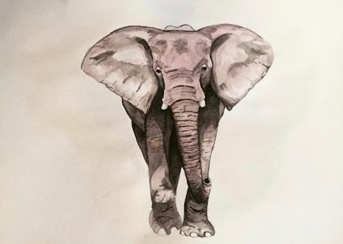 Elephant watercolor painting | Behind the Vision: Samantha, Senior Lead Designer | Brighter Vision | Marketing Blog for Therapists